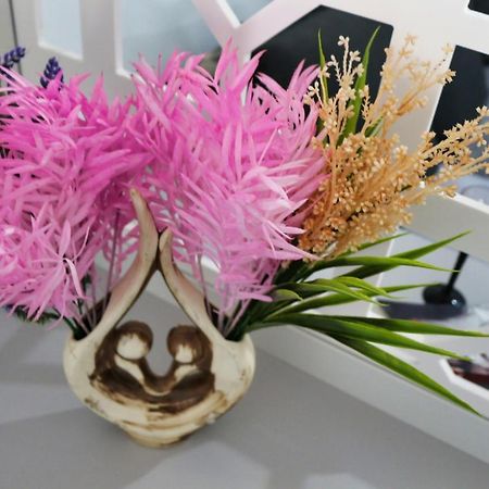 Cozy Flowers Studio - Fast Wi-Fi & Washer-Dryer Braşov Eksteriør billede