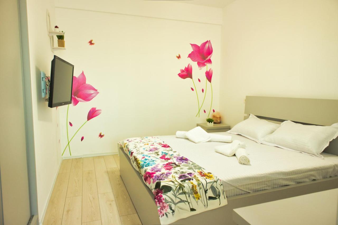 Cozy Flowers Studio - Fast Wi-Fi & Washer-Dryer Braşov Eksteriør billede