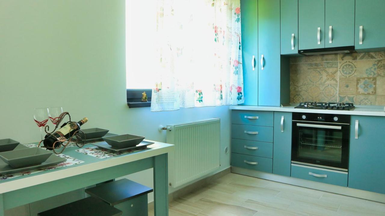 Cozy Flowers Studio - Fast Wi-Fi & Washer-Dryer Braşov Eksteriør billede